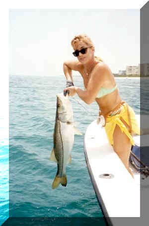 cindy's snook.jpg (19744 bytes)