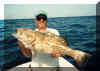 Dr_John's_grouper.jpg (44892 bytes)