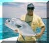 summertime_permit.jpg (40704 bytes)